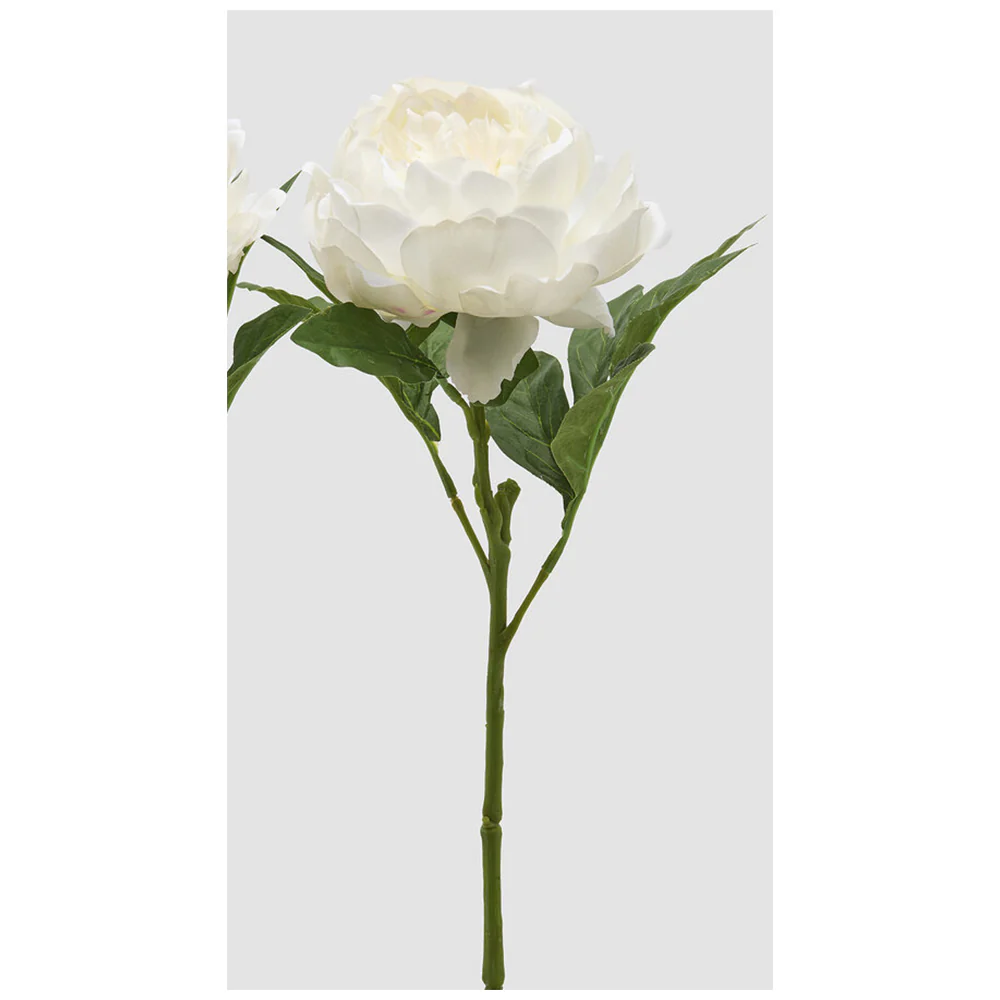 Edg Enzo De Gasperi Ramo Peonia artificiale con foglie H58 cm 2 varianti(1 unità) - Image 2