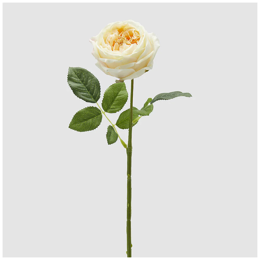EDG Enzo de Gasperi Ramo Rosa Elide crema con foglie artificiale H45 cm
