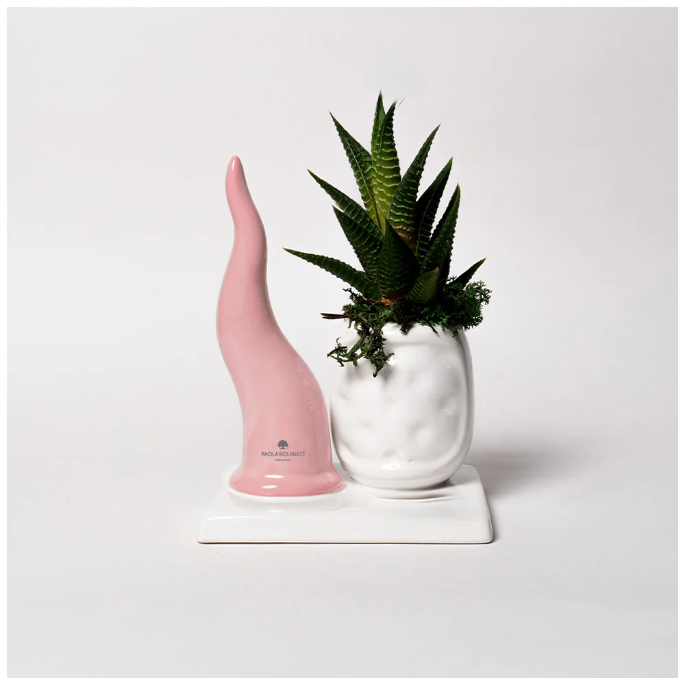 Paola Rolando Pianta grassa con corno "Partenope" 10×11,5×H17 cm 2 varianti(1pz) - Image 2